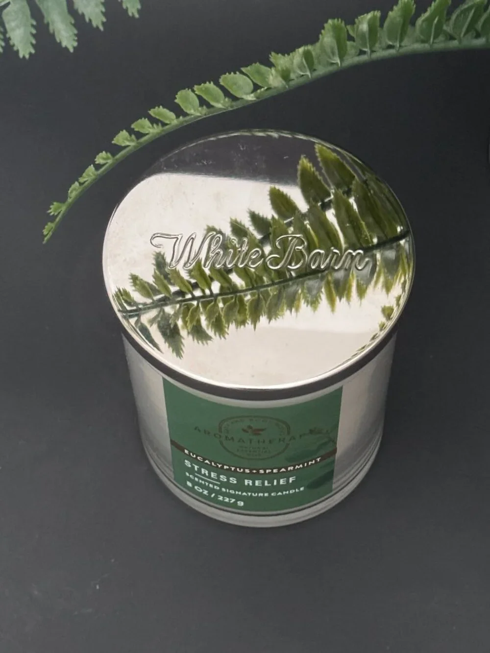 BBW Stress Relief Eucalyptus Spearmint Bath & Body Works Single Wick Candle